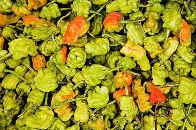 世嘉公布《索尼克 起源》实机演示 游戏6月发售